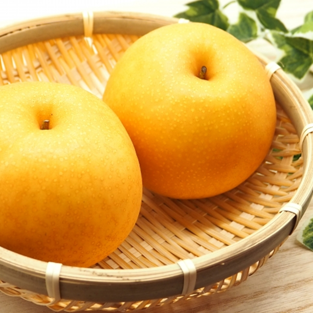 《送料込》福島県産萱場梨　新高5kg（約10-12玉）※10月初旬頃～順次お届け（斎藤梨園）