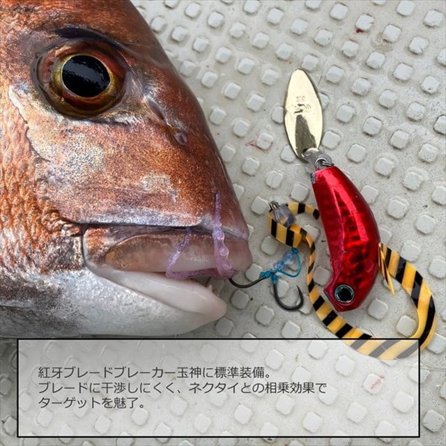 ダイワ タイラバ 鯛ラバ 紅牙シリコンネクタイシングルカーリーR ゼブラグロー:釣具のキャスティング JRE MALL店通販 | JRE  MALLショッピング | JRE POINTが貯まる・使える