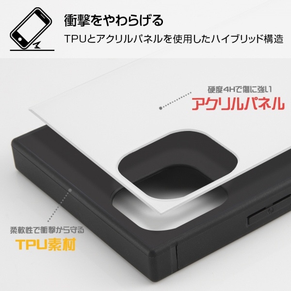 iPhone 11 スマホケースフレームキット ever 『101匹わんちゃん/メモリー』_01 イングレム  IQK-DP21K3TB/DL008:ビックカメラ通販 | JRE MALLショッピング | JRE POINTが貯まる・使える