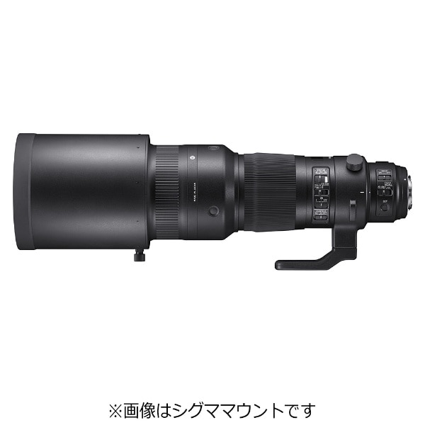 カメラ 人気 レンズ 500mm