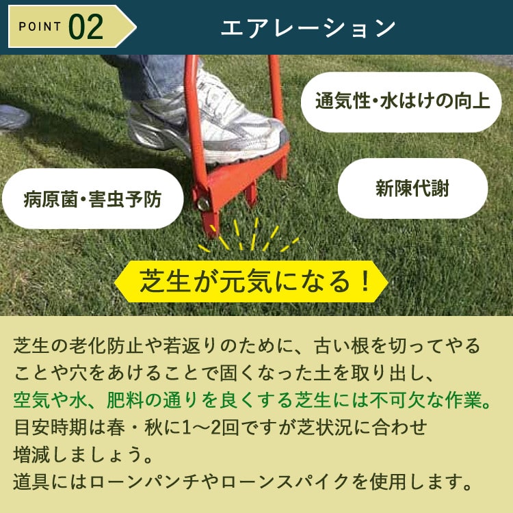 初心者安心 芝生お手入れ10点セット】 キンボシ 【芝刈機】キンボシ ハッピーバーディモアー GSB-2000HDX 【日本製・保証1年】 他 芝生鋏  ローンパンチX ローンスパイクJr レーキ 等 エアレ:ホームショッピング通販 | JRE MALLショッピング | JRE POINTが貯まる・使える