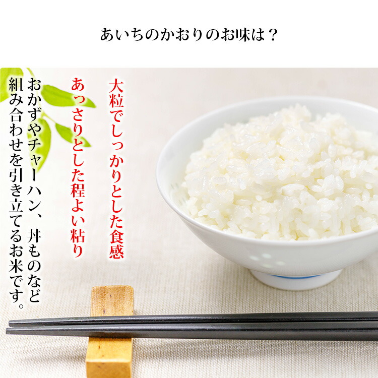 新米 米 無洗米 5kg 愛知県産 あいちのかおり 令和6年産 お米 5kg 送料無料 北海道・沖縄配送不可 即日発送 5キロ:あだちねっと美米屋通販  | JRE MALLショッピング | JRE POINTが貯まる・使える