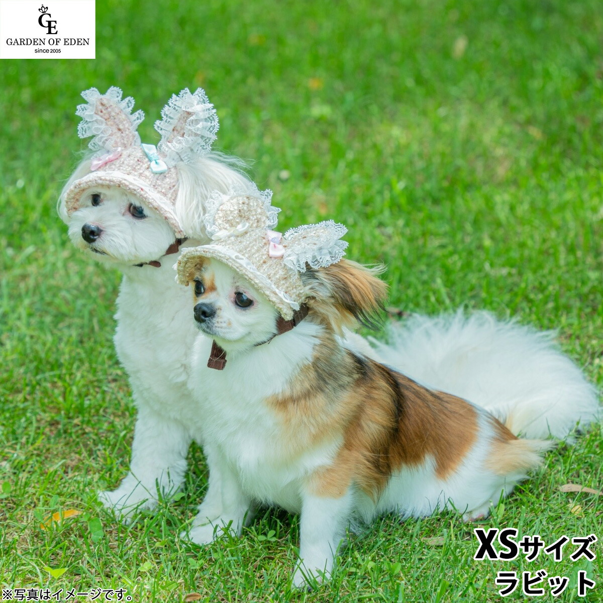 犬の帽子 ガーデンオブエデン 森のうさぎ＆くまさんハット XS ラビット おしゃれ ファッション お出かけ