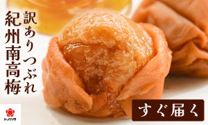 紀州みなべの梅トノハタ