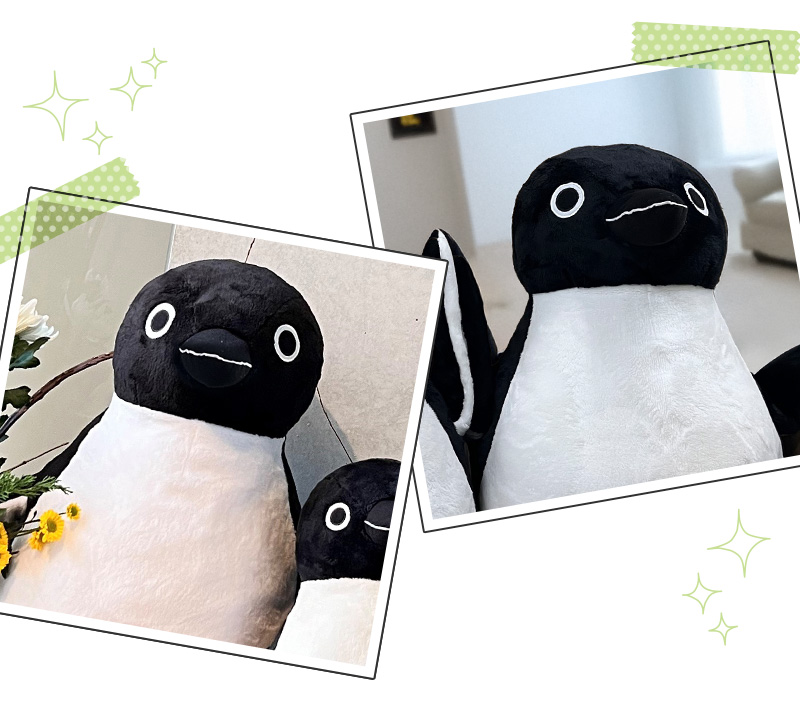 Suicaのペンギン　ぬいぐるみ　Mサイズ