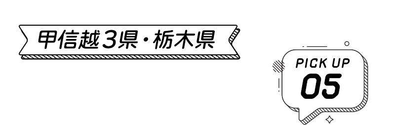 甲信越3県・栃木県