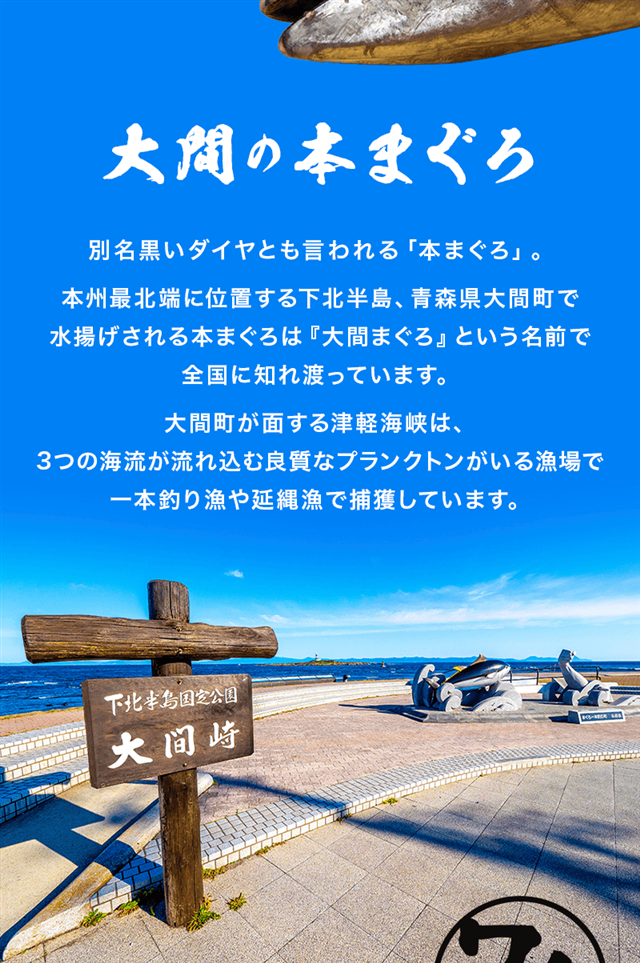 【ワケあり】【青森】大間産『本まぐろ』切り落とし２５０ｇ