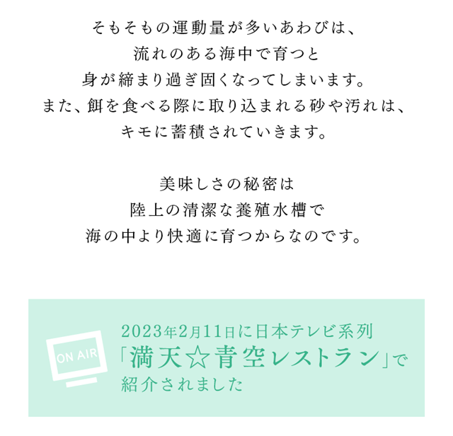 三陸翡翠あわび　スチーム冷凍セット