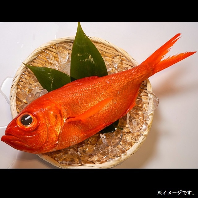 千葉】銚子釣り金目 輪切り約300g 送料無料 お取り寄せ グルメ 産地