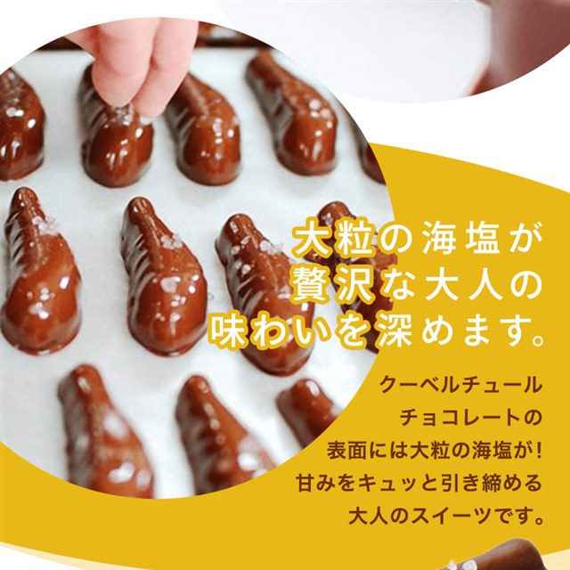 いわきチョコレートめひかり塩チョコ(レギュラー）