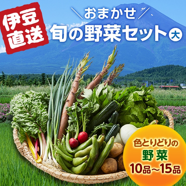 南伊豆 旬の野菜セット（大）