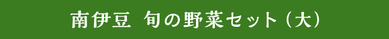 南伊豆 旬の野菜セット（大）