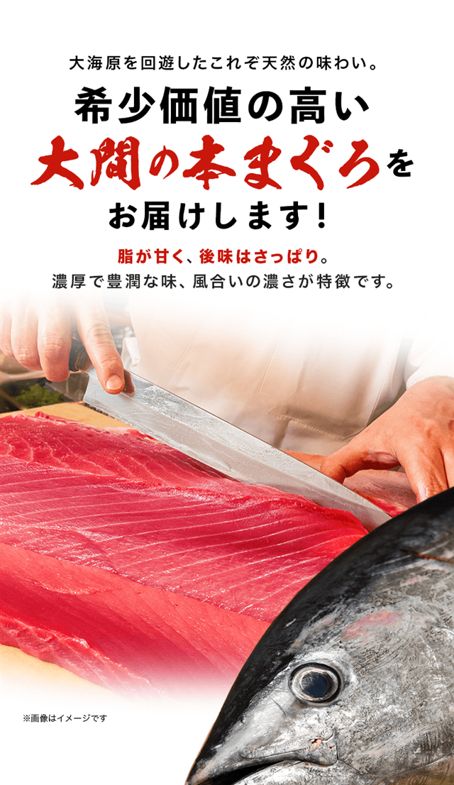 大間産本まぐろ切り落し 250g