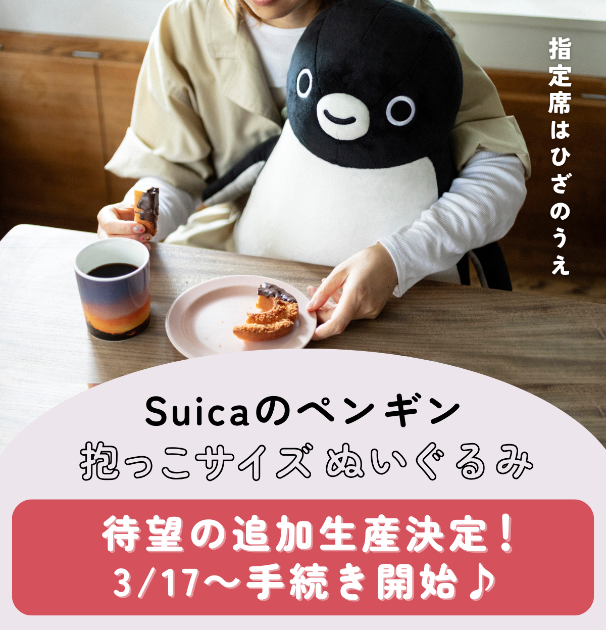 Suicaのペンギン 抱っこサイズぬいぐるみ - メインビジュアル