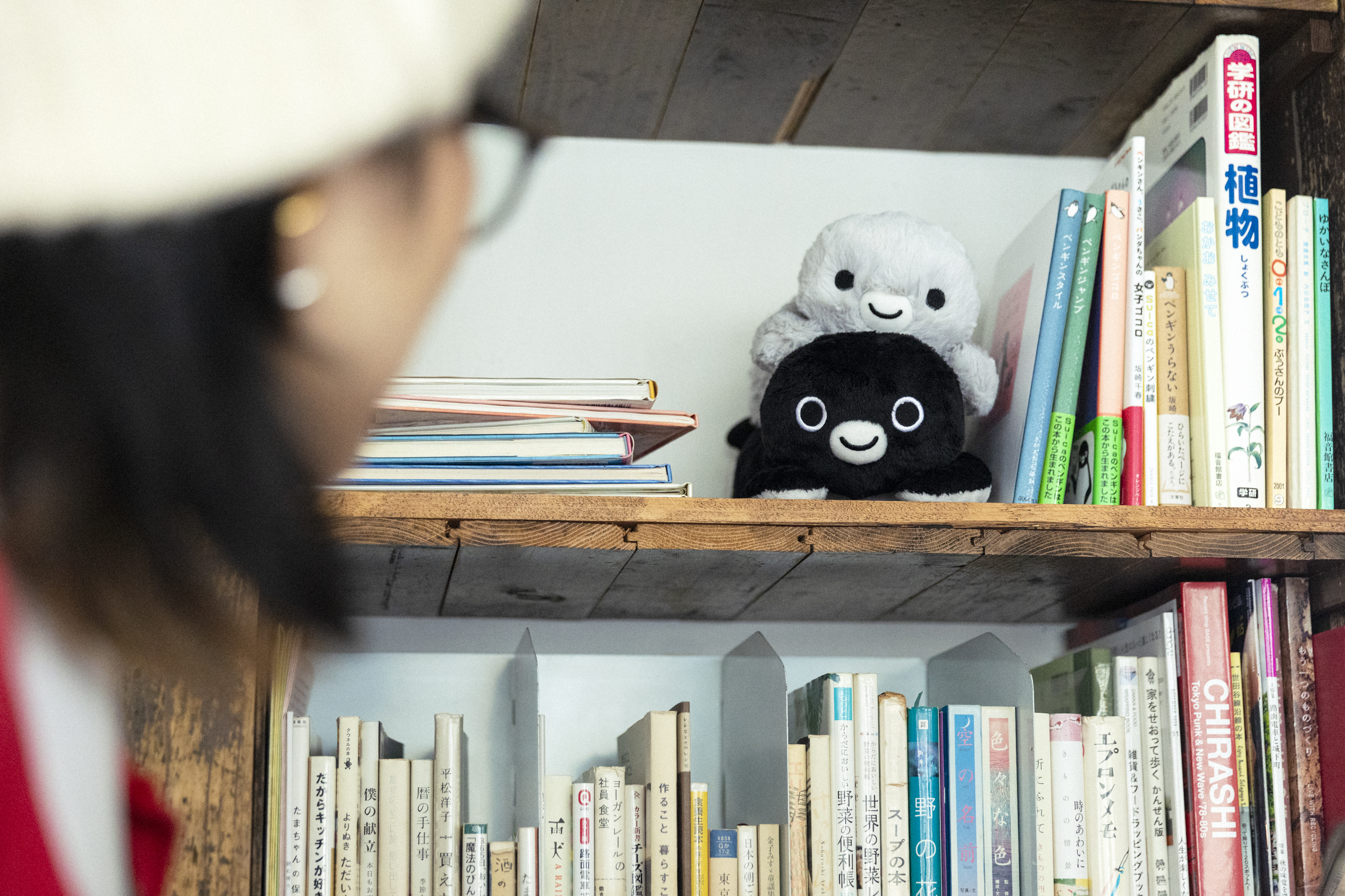 気づかれたSuicaのペンギン