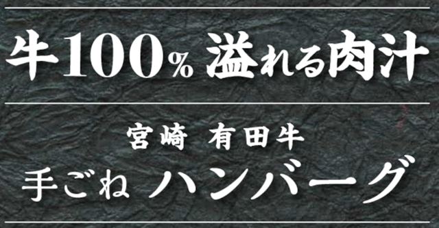 有田牛ハンバーグ