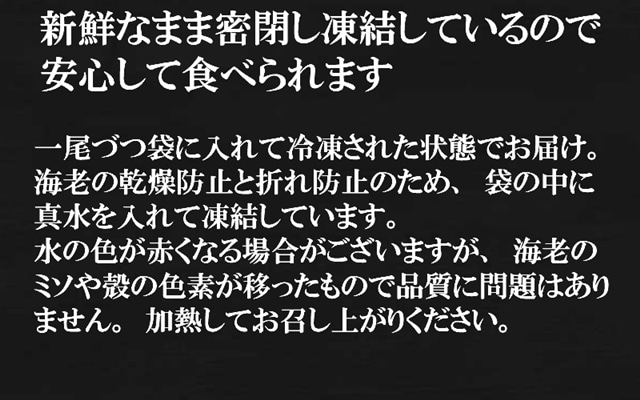 皇帝の海老説明3 