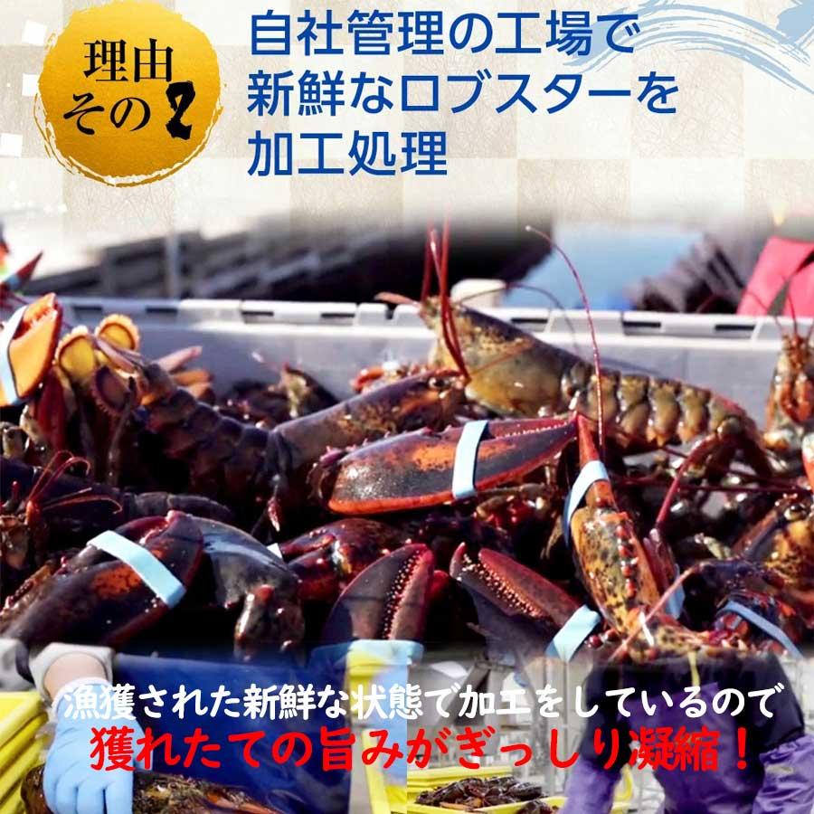 ロブスター オマール海老 エビ ボイル 殻付き 姿 ギフト 贈り物 化粧箱入り 母の日 父の日 お中元