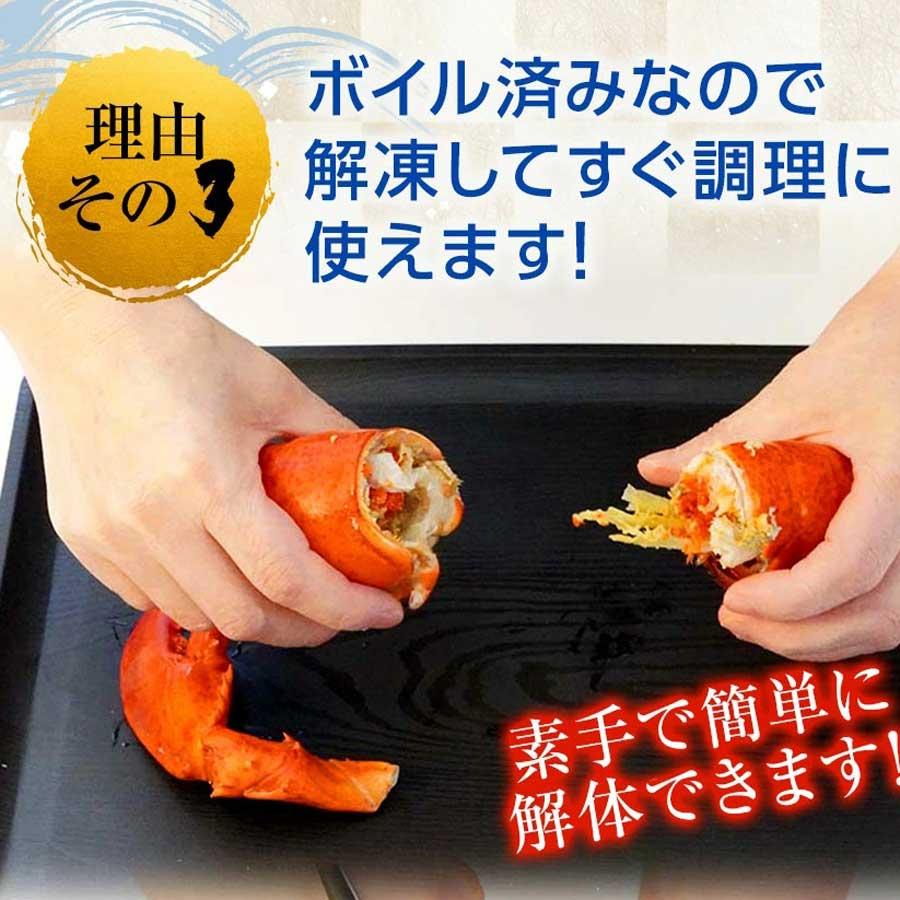 ロブスター オマール海老 エビ ボイル 殻付き 姿 ギフト 贈り物 化粧箱入り 母の日 父の日 お中元