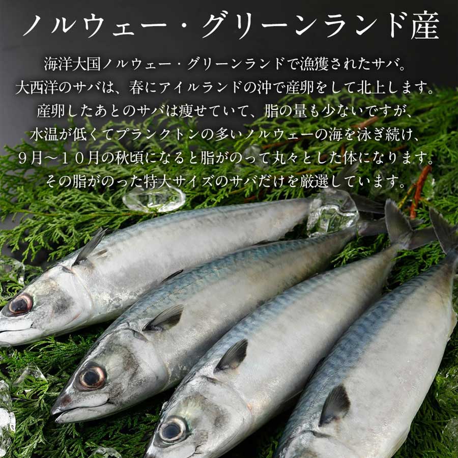 サバ 鯖 さば 切り身 骨とり 1kg 下処理済