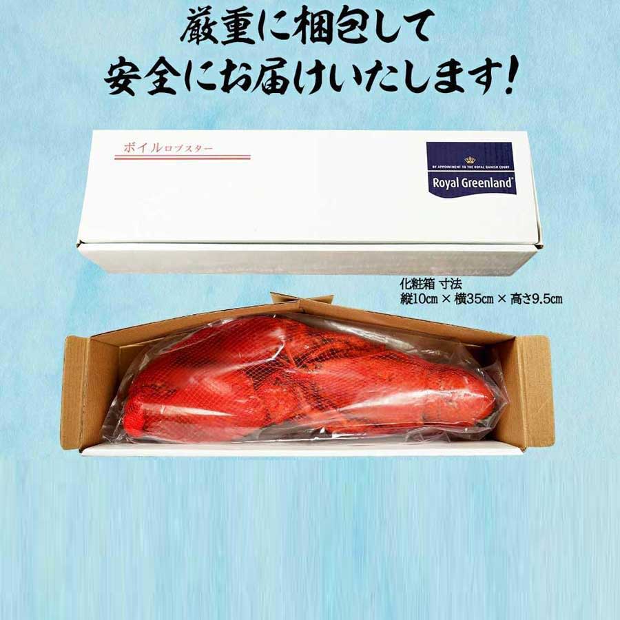 ロブスター オマール海老 エビ ボイル 殻付き 姿 ギフト 贈り物 化粧箱入り 母の日 父の日 お中元