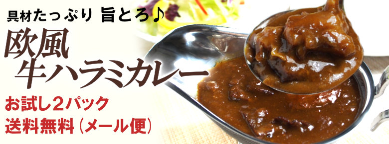 欧風牛ハラミカレー