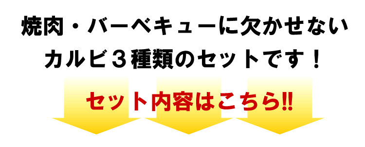 カルビ3種特盛セット