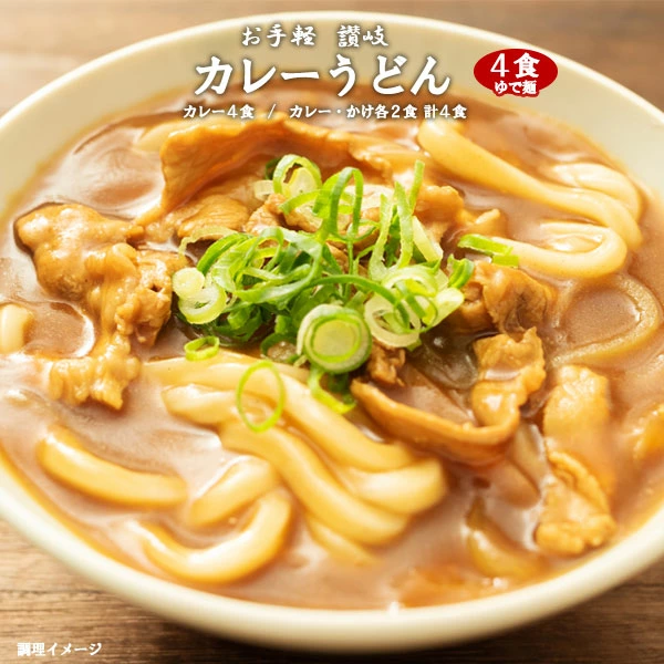 讃岐うどん カレーうどん うどん カレーソース付き 4食 カレーうどんとかけうどん4食 選べる ゆでうどん 長期保存 お取り寄せ 讃岐のカレーうどん おためし 送料無料 お試し お取り寄せ ポイント消化