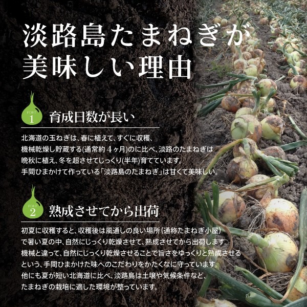 淡路島 たまねぎスープ オニオン 玉ねぎ タマネギ スープ 調味料