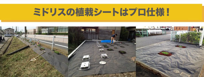 ミドリスの植栽シートはプロ仕様！