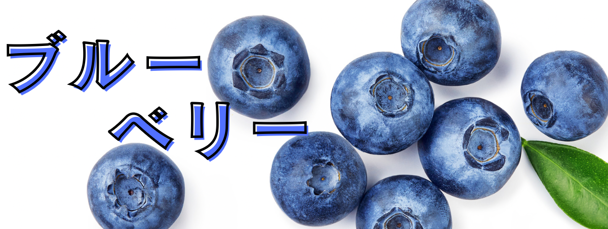 ブルーベリー