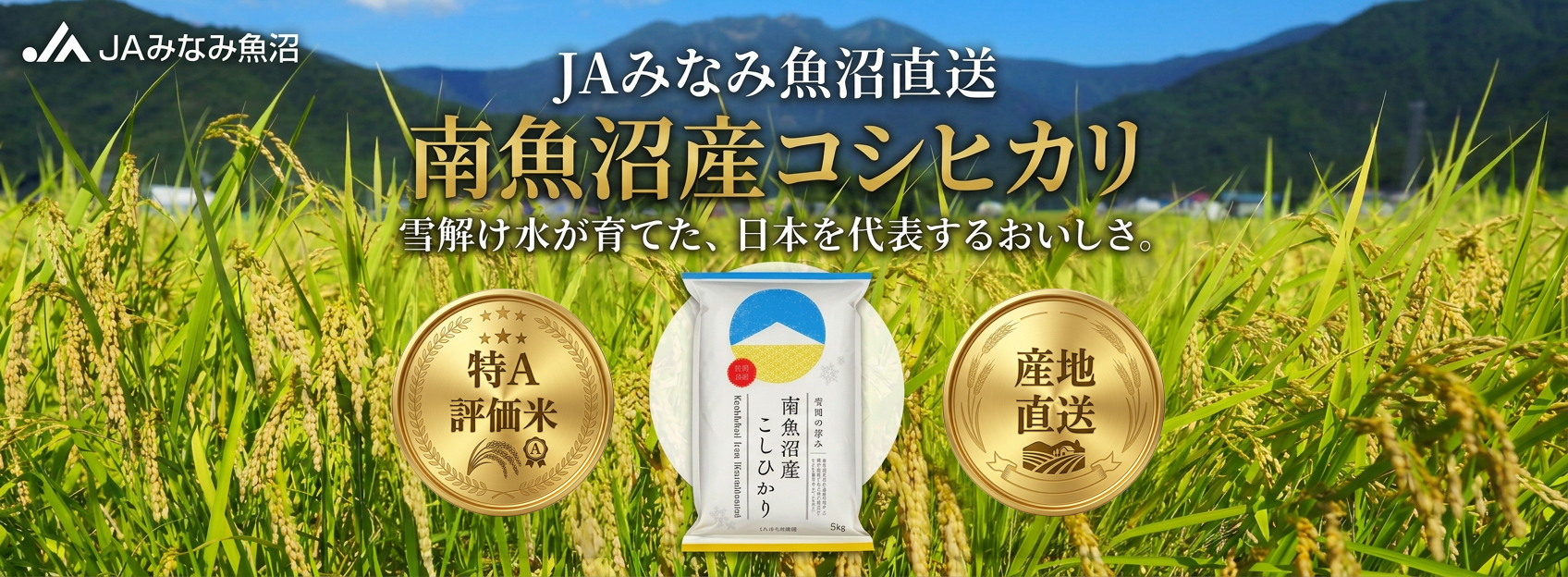 南魚沼産コシヒカリ
