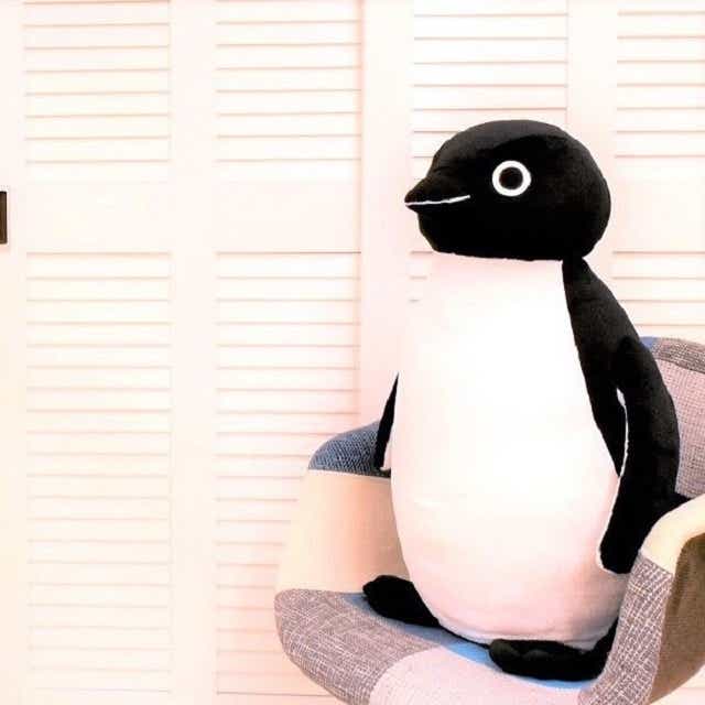 Suicaのペンギン ぬいぐるみマスコットM:TRAINIART JRE MALL店通販 | JRE MALLショッピング | JRE  POINTが貯まる・使える