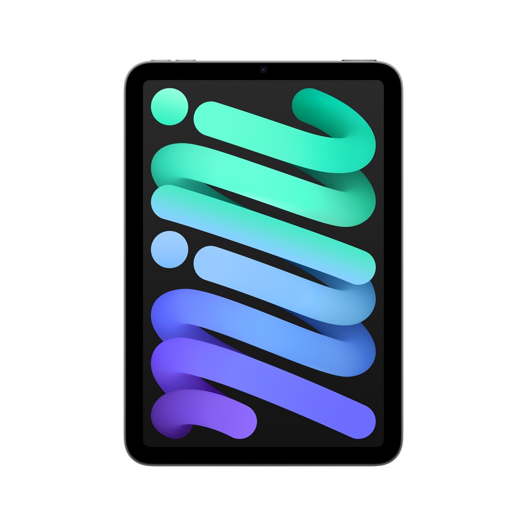 iPad mini Wi_Fi + Cellularモデル 256GB - スペースグレイ:Apple