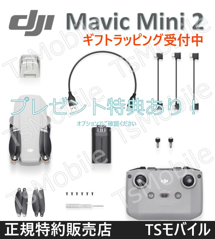 DJI Mavic Mini2 マビック ミニ2 小型 DJI 4Kカメラ付き ドローン【賠償責任保険付】技適マーク 200g未満 TSモバイル  GPS microSDカード対応:三重通信通販 | JRE MALLショッピング | JRE POINTが貯まる・使える